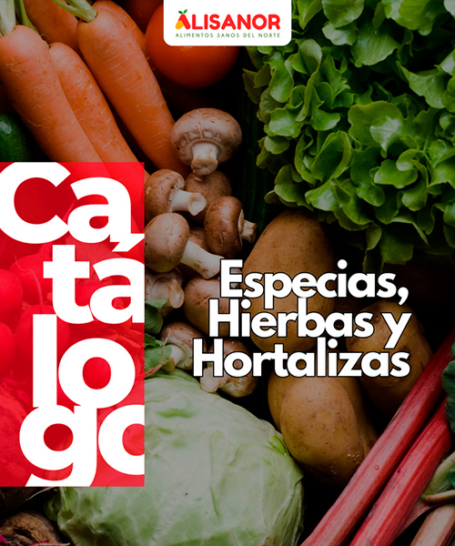 Catálogo 3